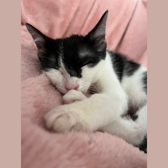 Photo of Selina