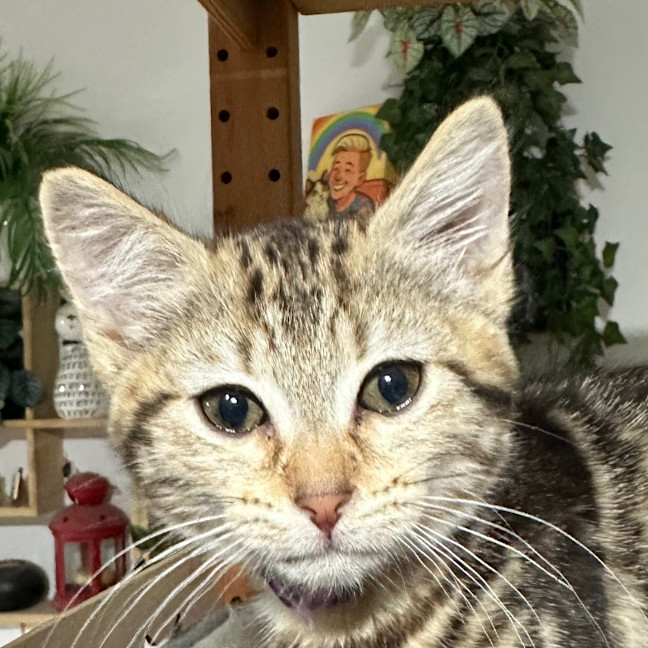 Photo of Heather