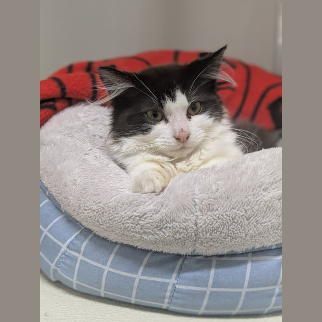 Photo of 🦄 Puurl 6332 🦄