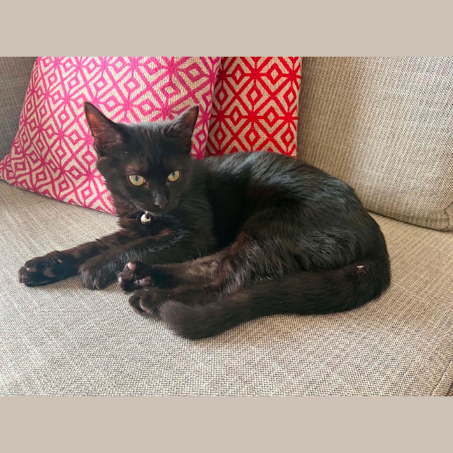 Photo of Jasper