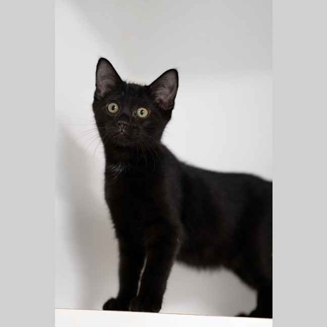 Photo of Herb