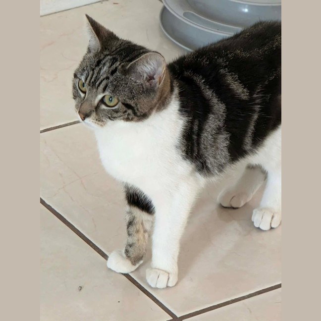 Photo of Jemima