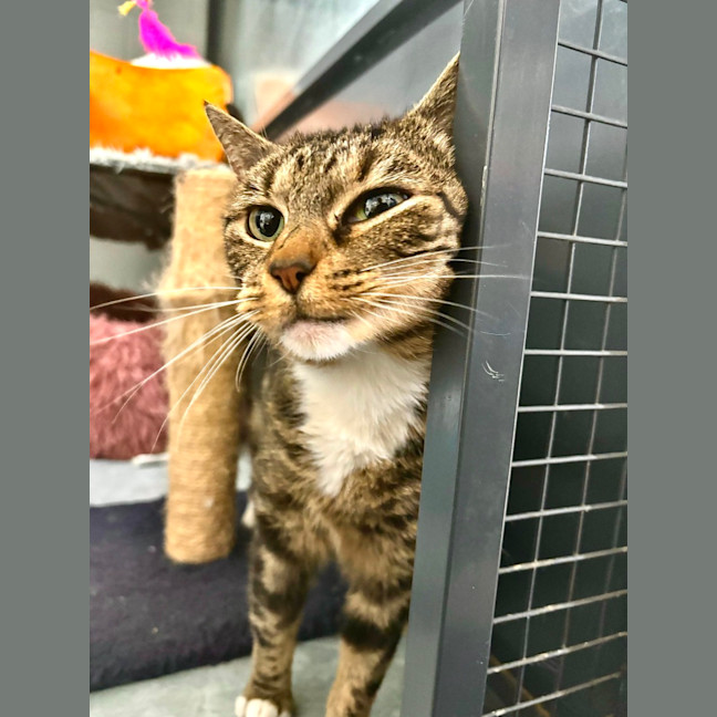 Photo of Myrtle