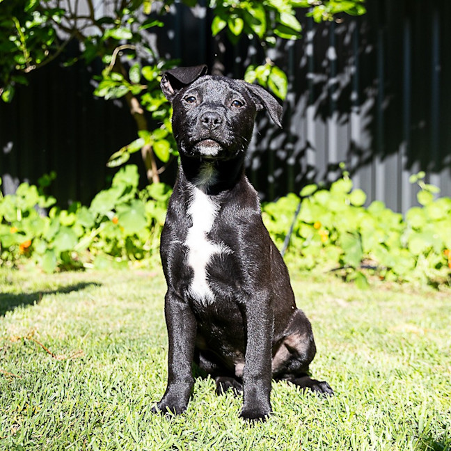 Photo of Lumen