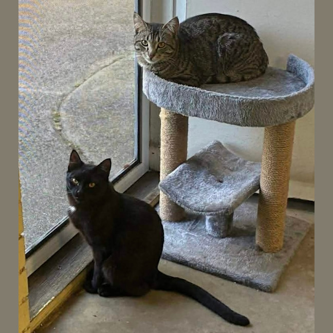 Photo of Augustus & Douglas 