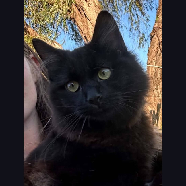 Photo of Ted E Bear