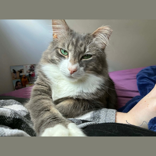 Photo of Sawyer