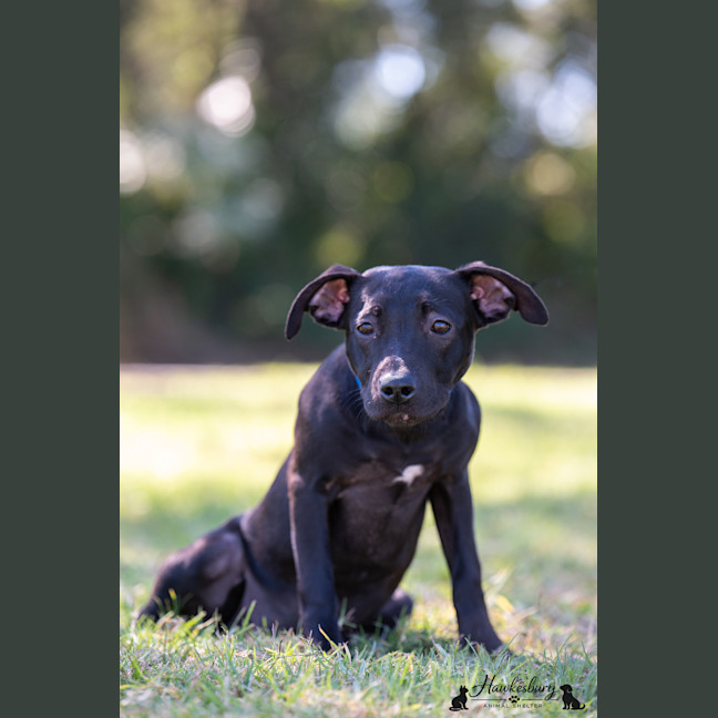 Photo of Lilly