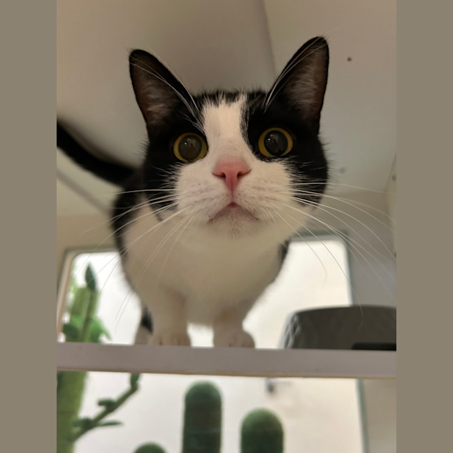 Photo of Princess Pearl