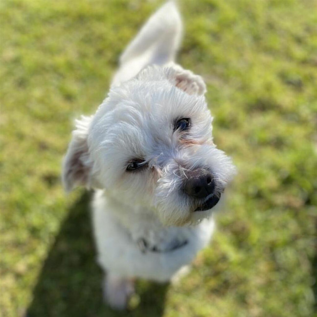 Photo of Charlie
