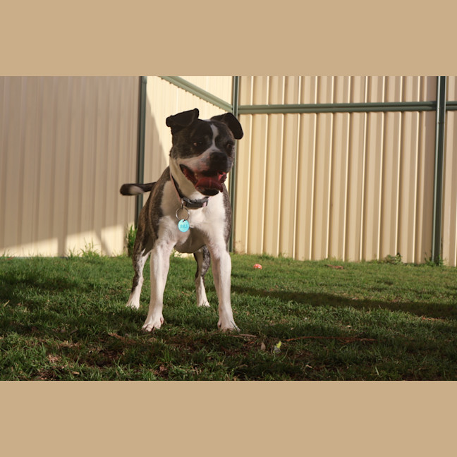 Photo of Bug