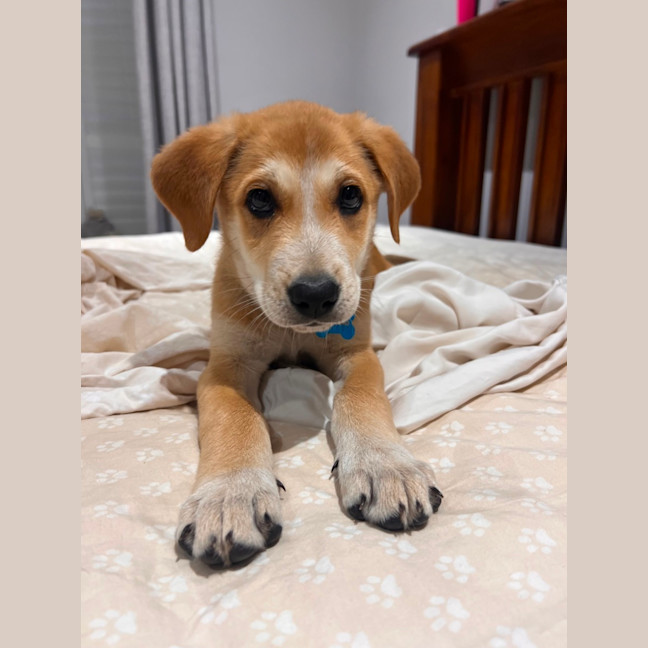 Photo of Major