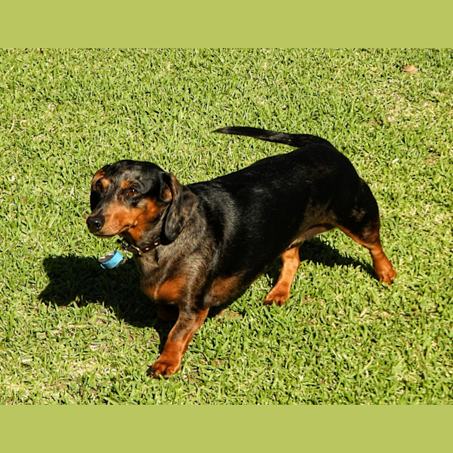 Photo of (Titch) Roxie