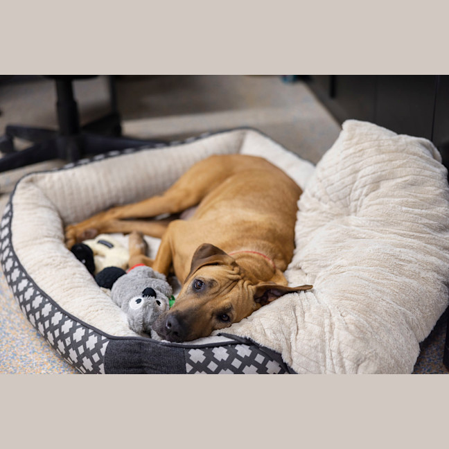 Photo of Dayna (Donya)