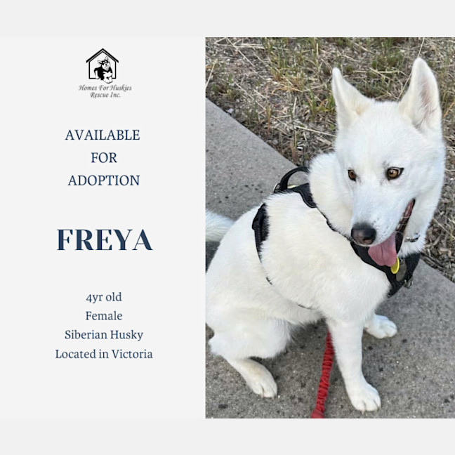 Photo of Freya