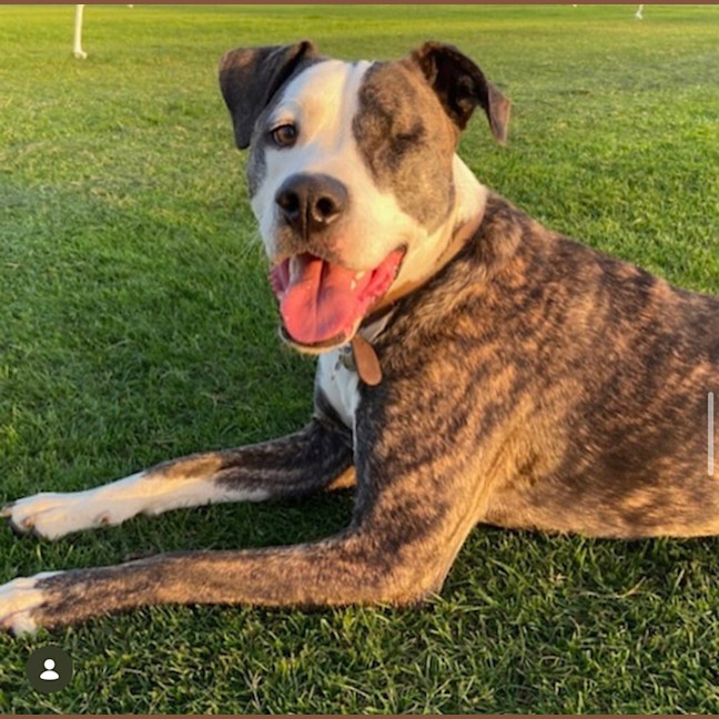 Photo of Oliver