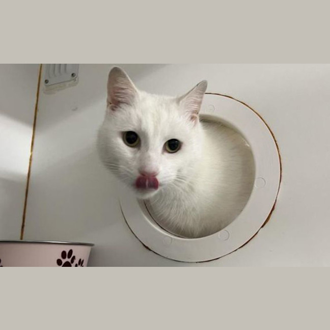 Photo of Malcolm Marshmellow