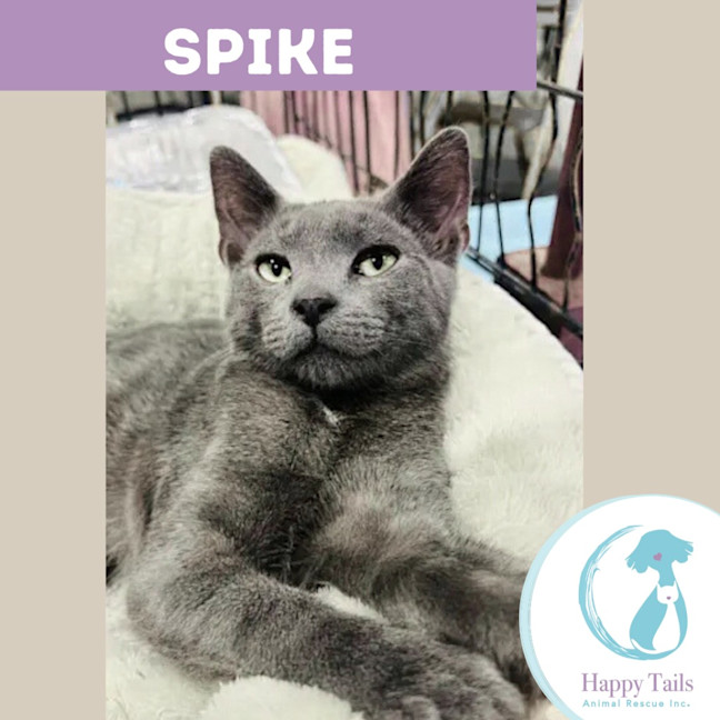 Photo of Spike