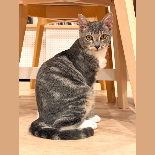 Photo of Adeline