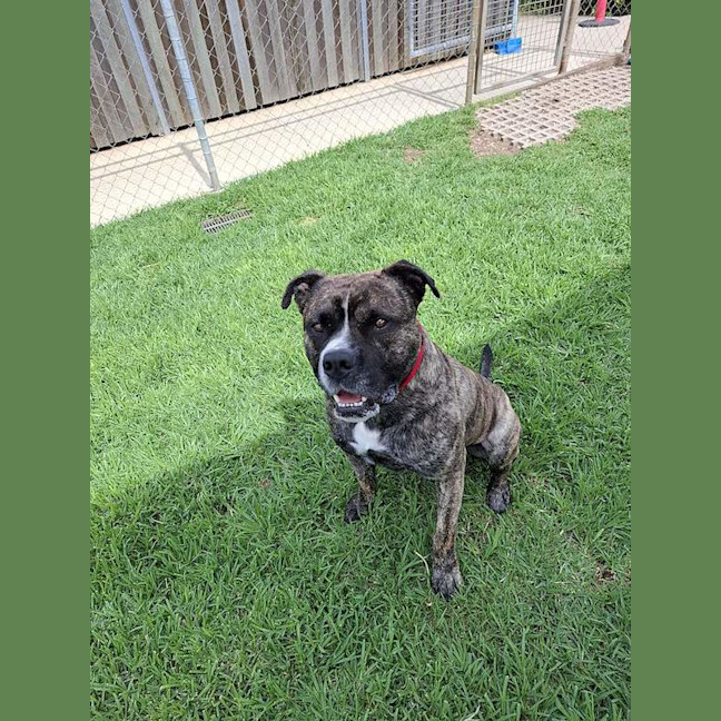 Photo of Duke