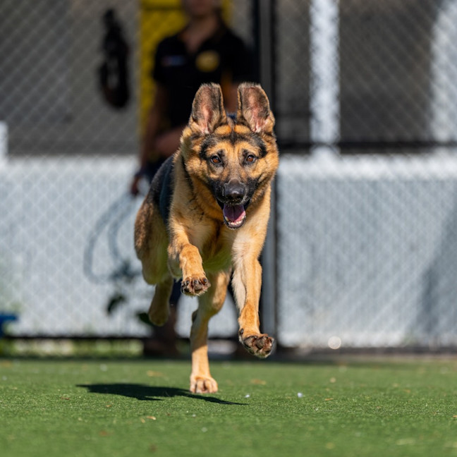 Photo of Jakob Imp 2581