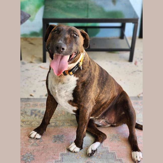 Photo of 🦆 Ducky 6839 🦆