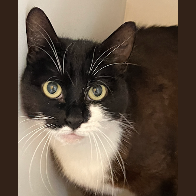 Photo of Evie Dwelly