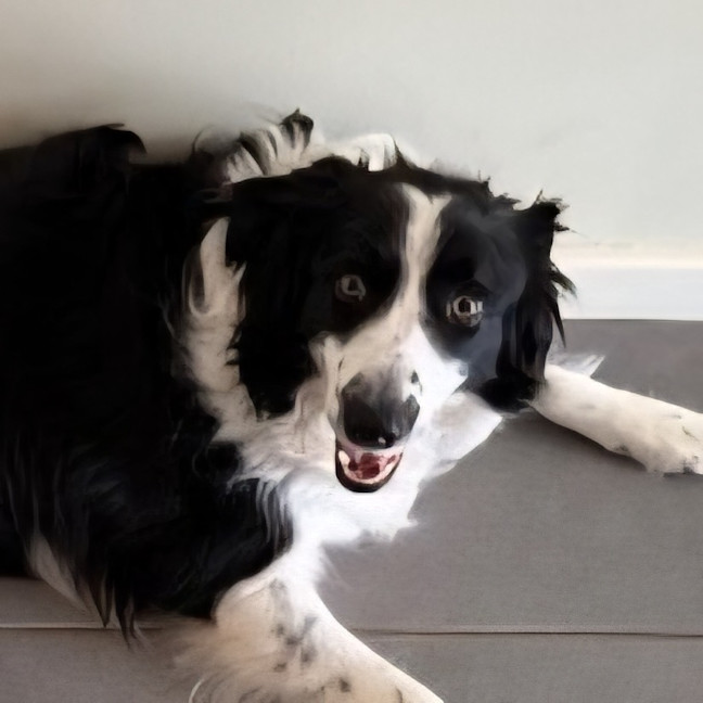 Photo of Jax