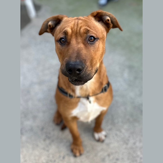 Photo of Bane