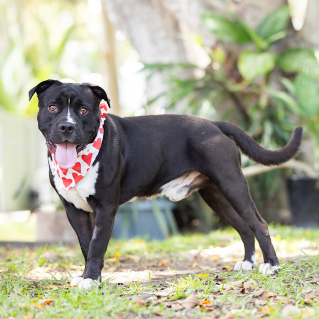 Photo of Buster
