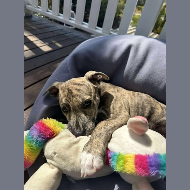Photo of Bryn