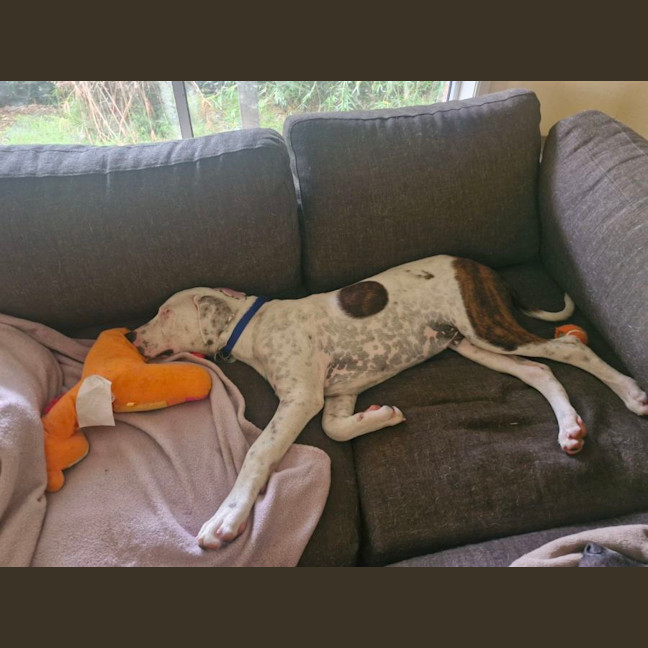 Photo of Asher