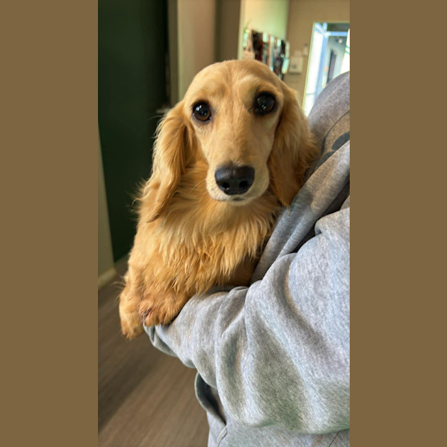 Photo of Suzi