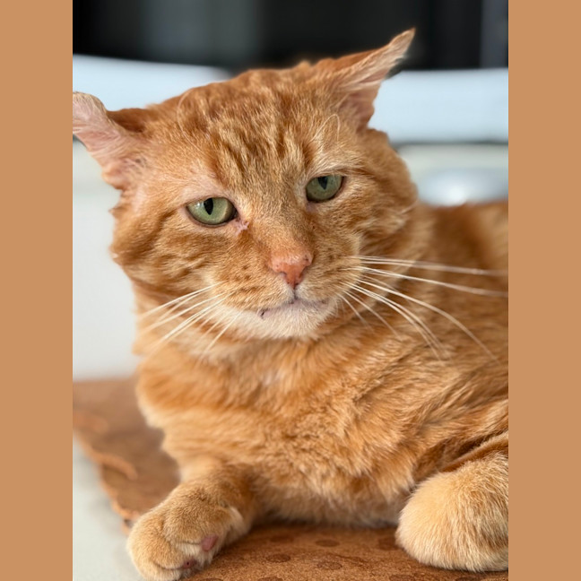 Photo of Bobby