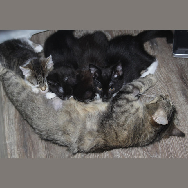 Photo of 💗 Billy Jo 💗