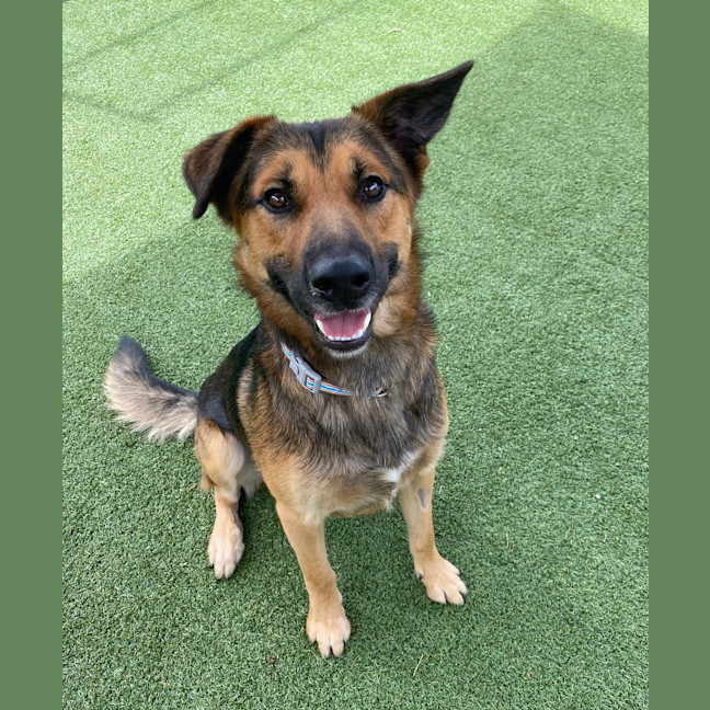 Photo of Zeke