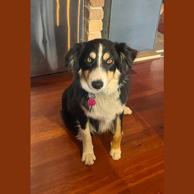 Photo of Flossie