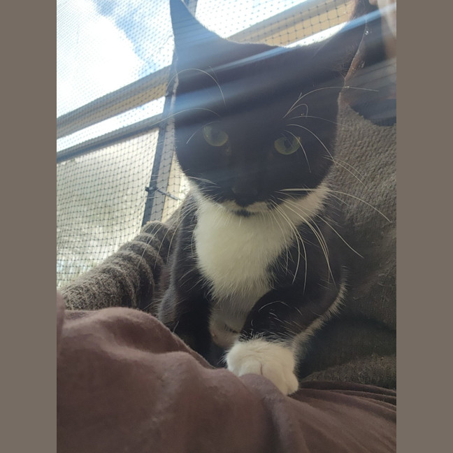 Photo of Maggie