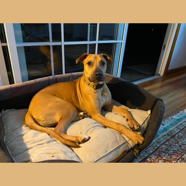 Photo of Zuko