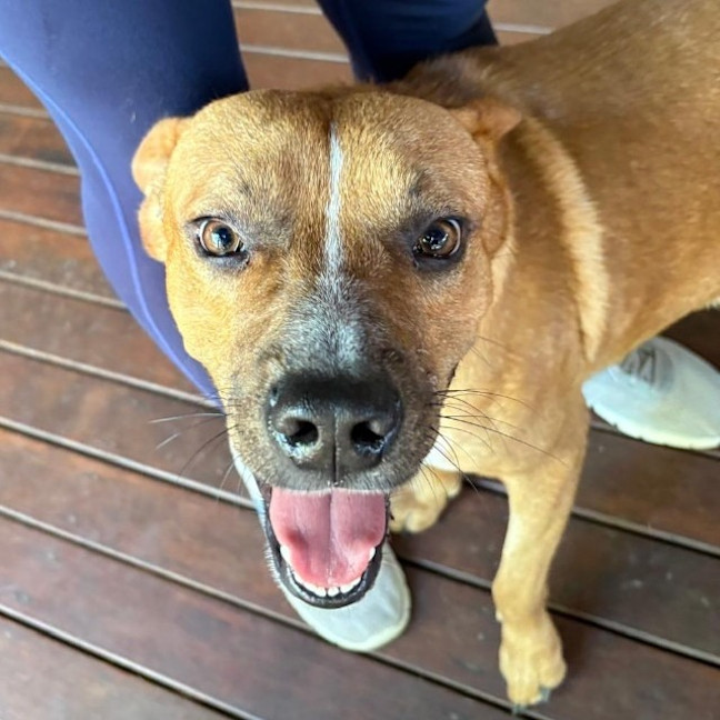 Photo of Duggee