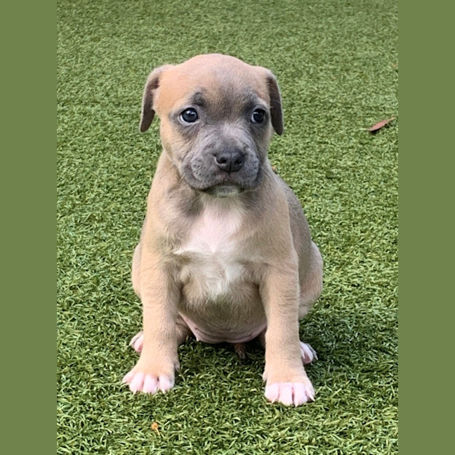 Photo of D1111 Ri Ri