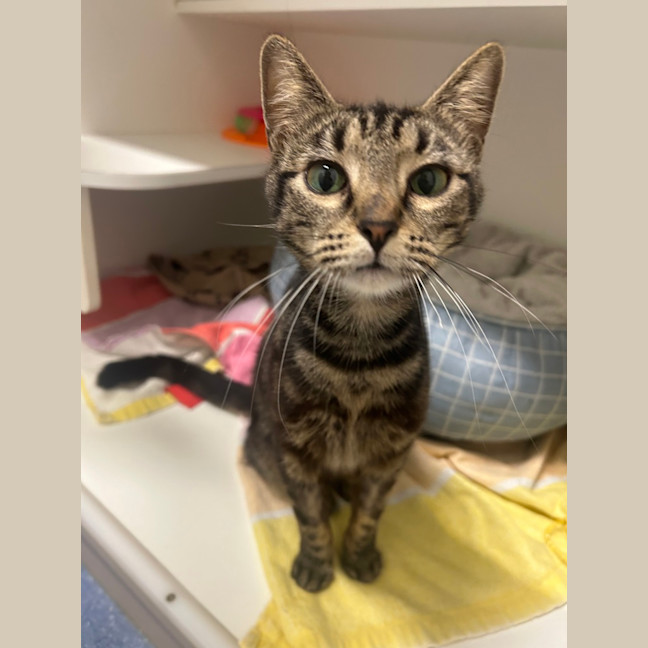 Photo of Tiny