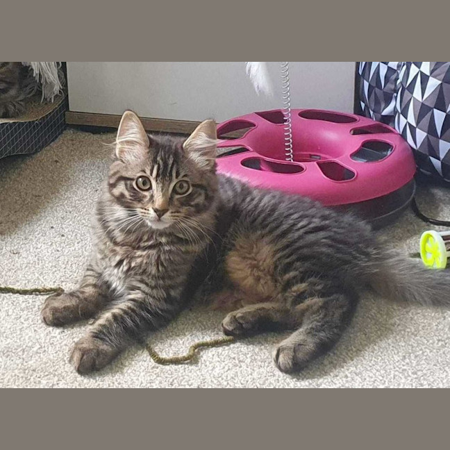 Photo of Memphis And Lucille