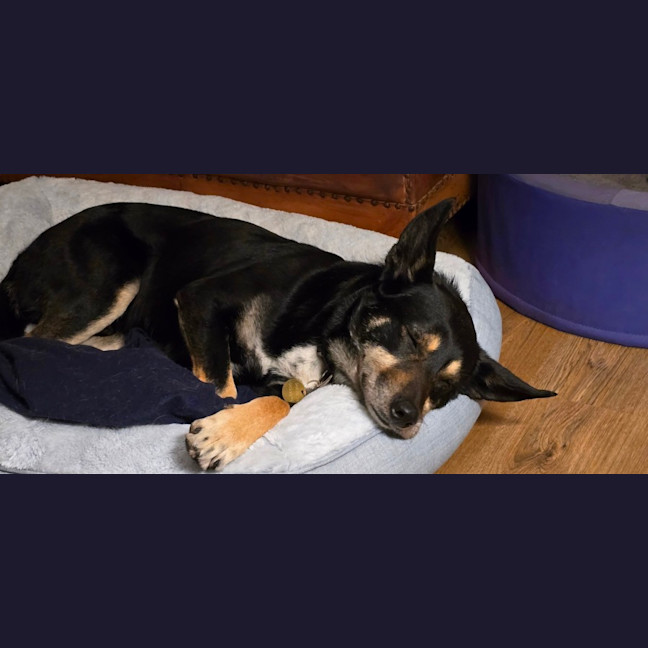 Photo of Bueno