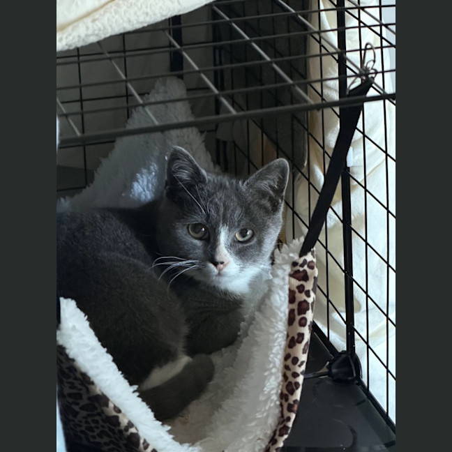 Photo of Gus