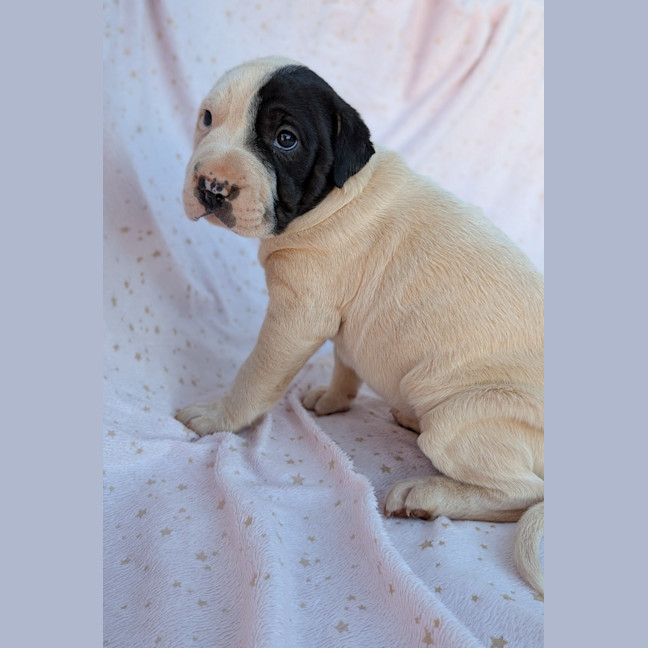 Photo of Blinky