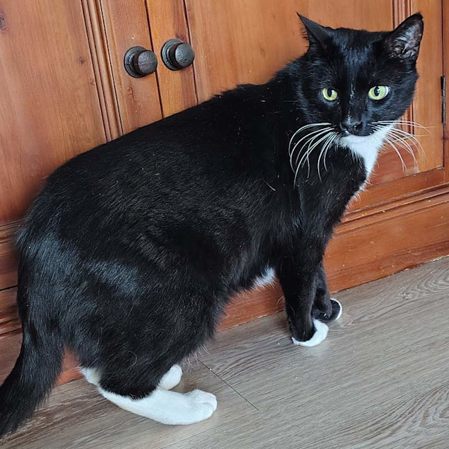 Photo of Lucky