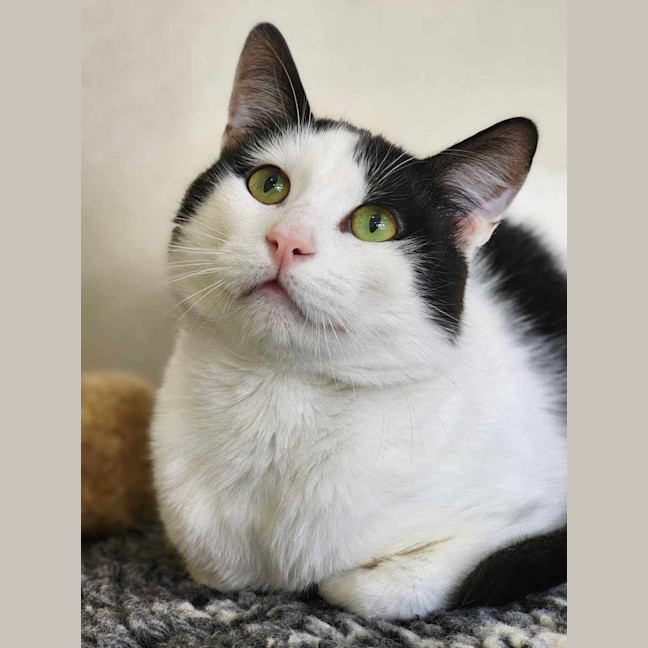 Photo of 🧃 Ian 5627 🧃