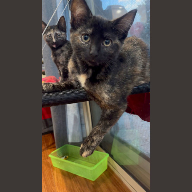 Photo of Wanda