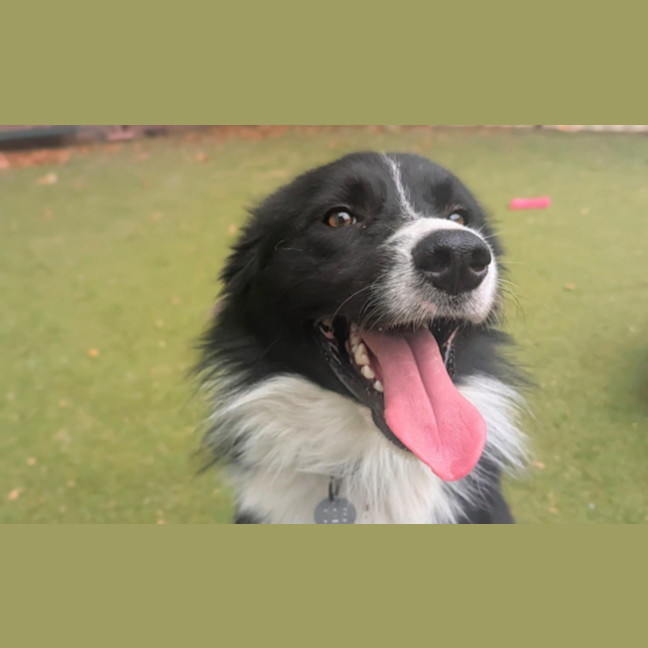 Photo of Murphy
